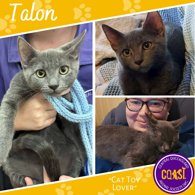 Photo of Talon