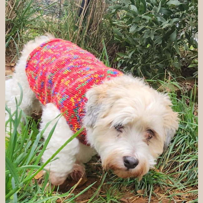 Photo of Benny