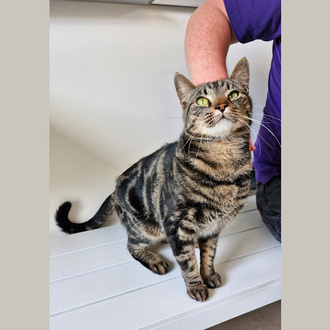 Photo of C1347 Jebadiah