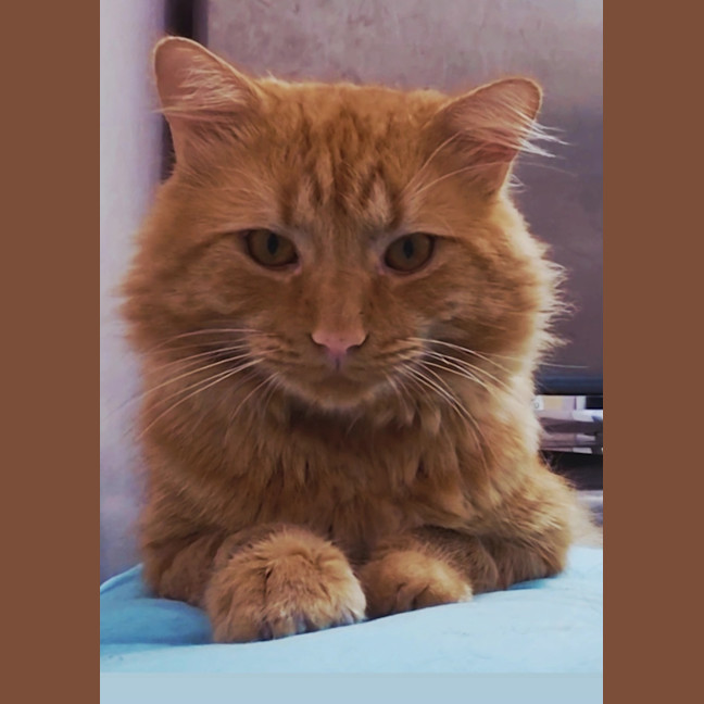Photo of Bjorn (9050)