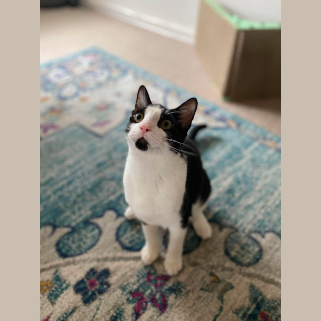 Photo of Boots