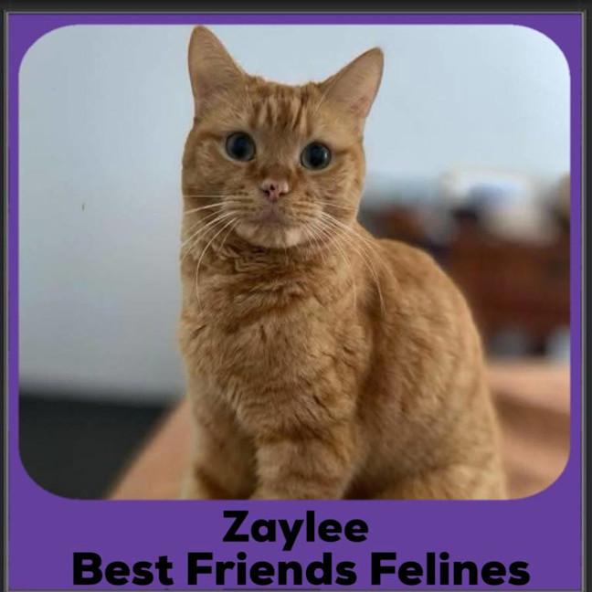 Photo of Zaylee