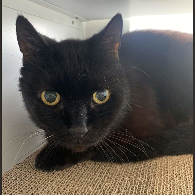 Photo of Kevin