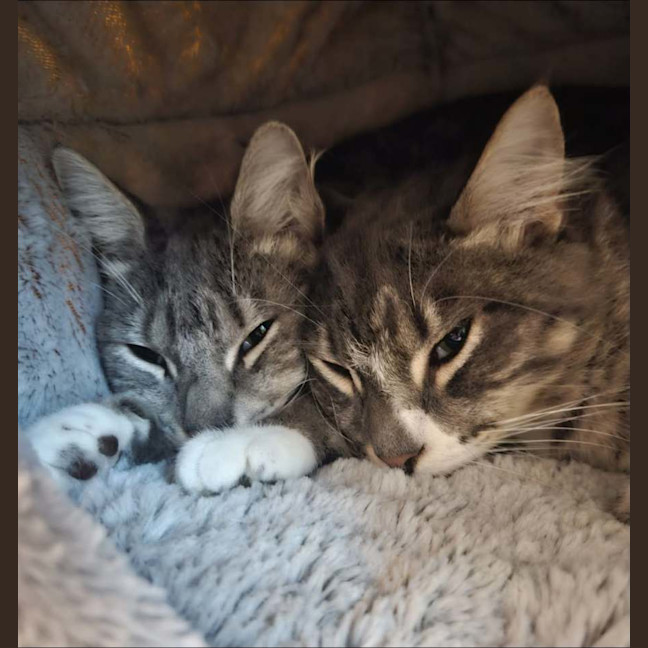 Photo of Ruth And Wyatt 