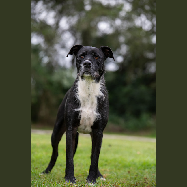 Photo of Snoop