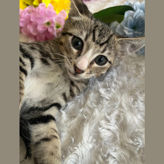 Photo of Jasper