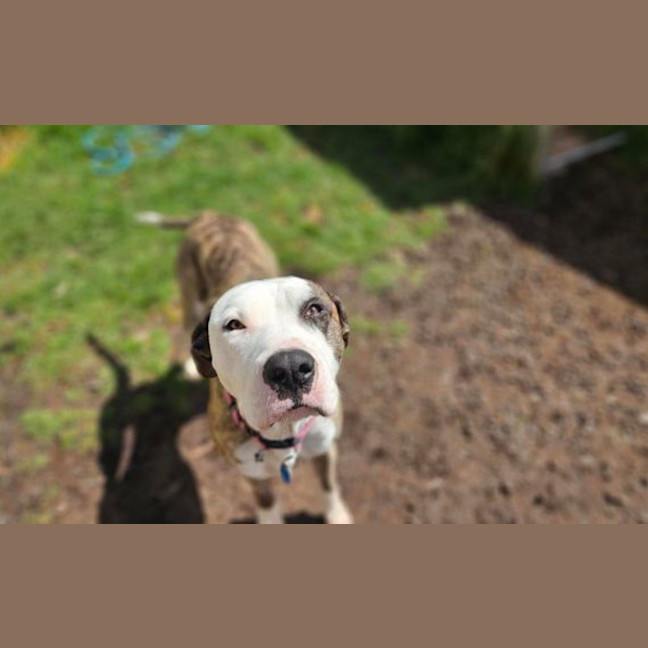 Photo of Odin