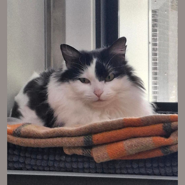 Photo of Winnie