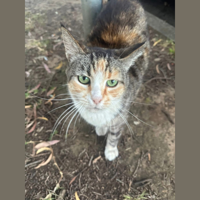 Photo of Tiny