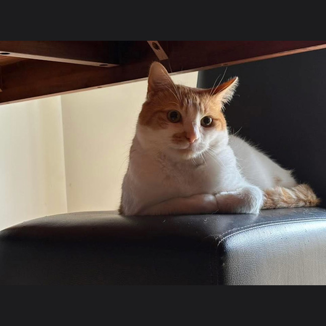 Photo of Nelson