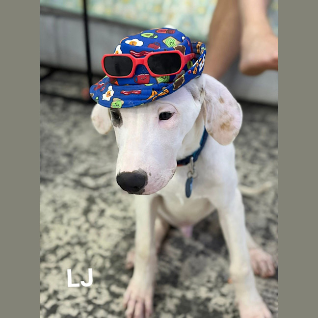Photo of Lj