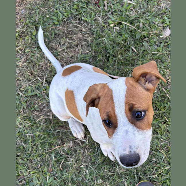 Photo of Lucy