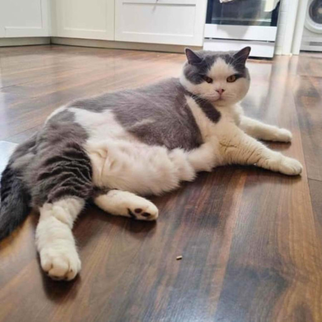 Photo of 🍑Jorgi🍑