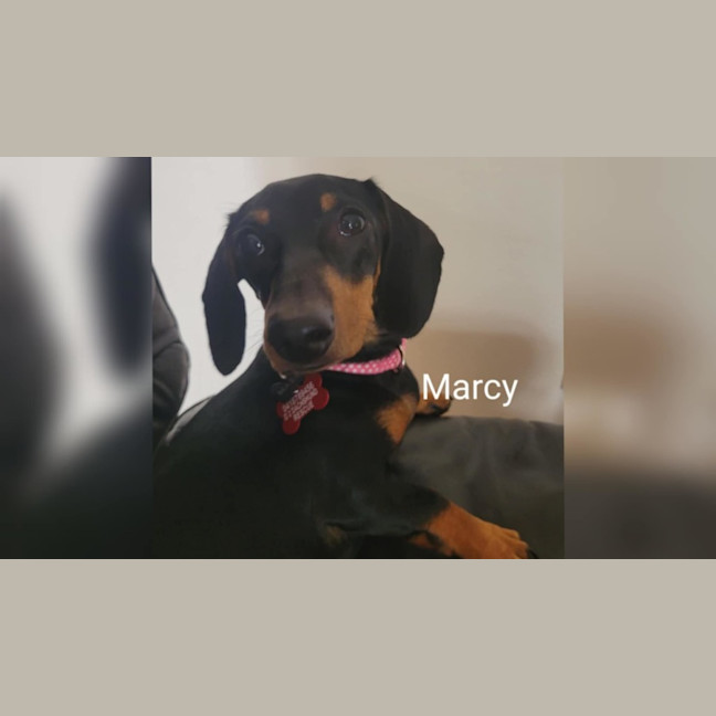 Photo of Marcy