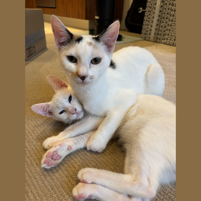 Photo of Stuart And Piper