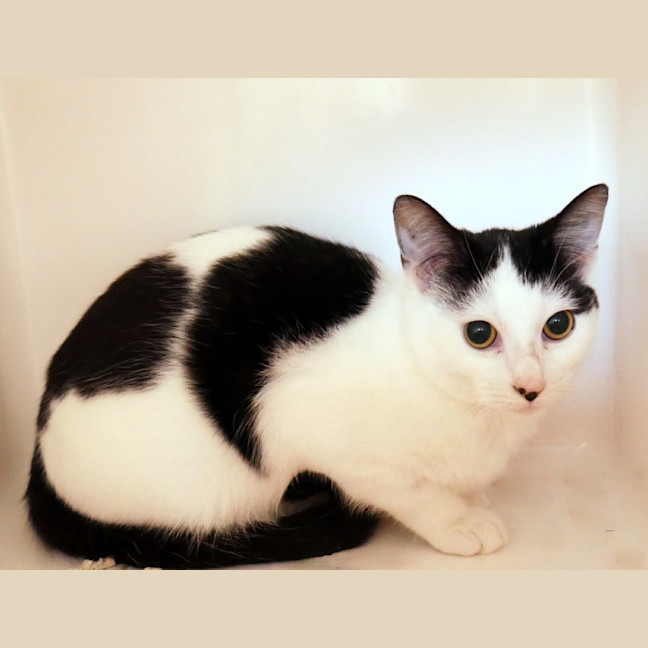 Photo of Ziggy Sta012981