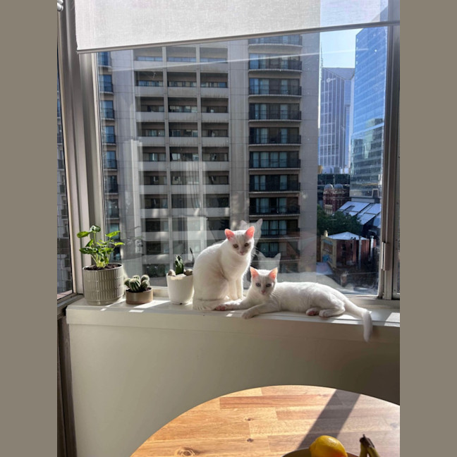 Photo of Parsnip & Yam