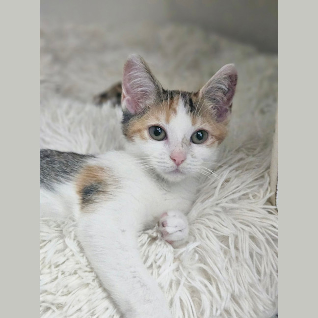 Photo of Mary Anne Johnston