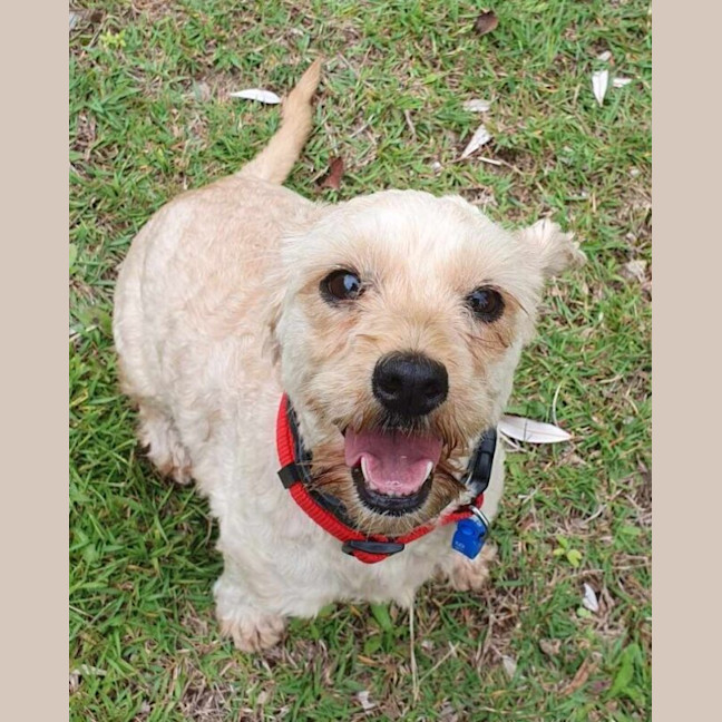 Photo of Latte