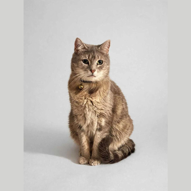 Photo of Maisy Moo