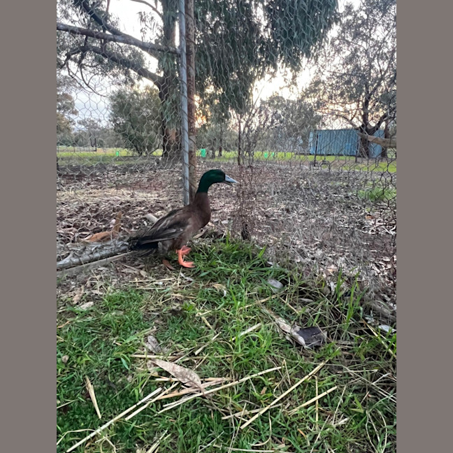 Photo of Donald