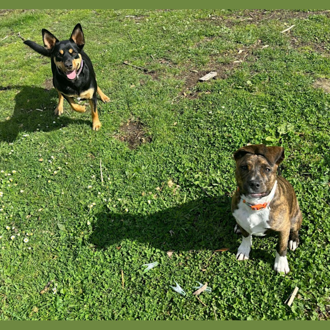 Photo of La Barbara
