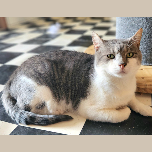 Photo of Gary & Chip   Your Best Friends 