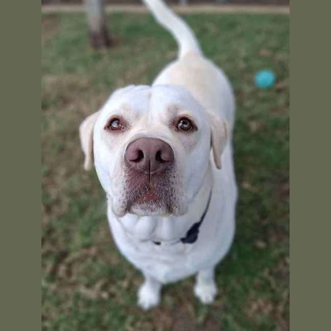 Photo of Max