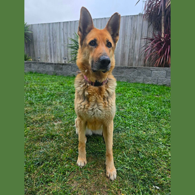 Photo of Lucy