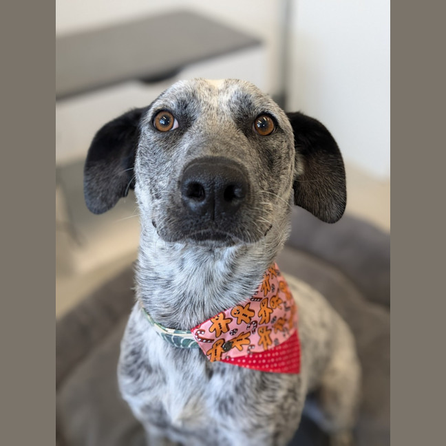 Photo of 🎀 Monica 5585 🎀