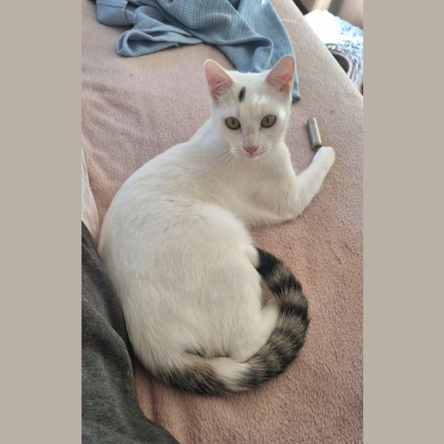 Photo of Ellie