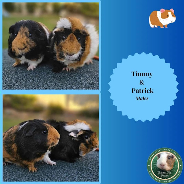 Photo of Timmy & Patrick