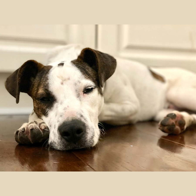 Photo of Clyde