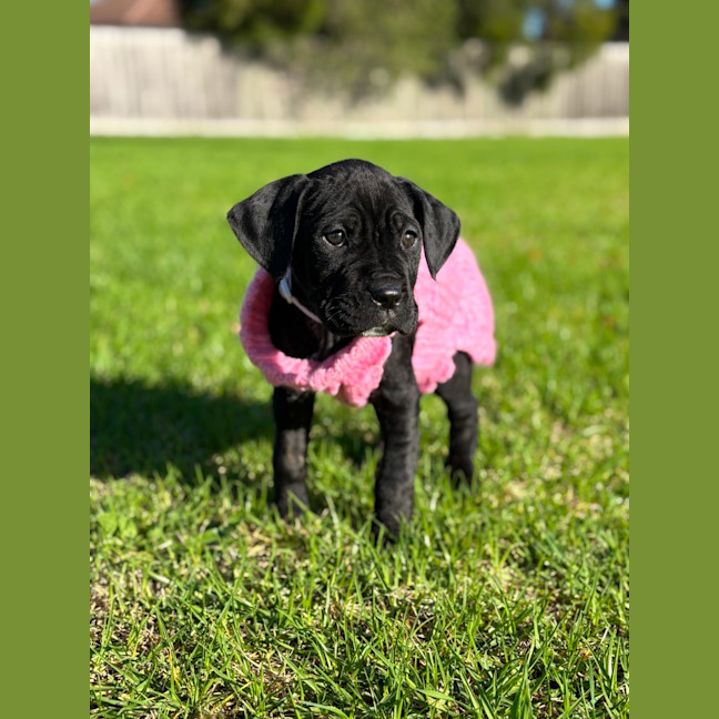 Photo of Bear 🐻