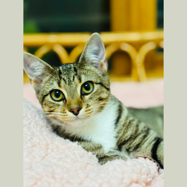 Photo of Eleanor 🌼