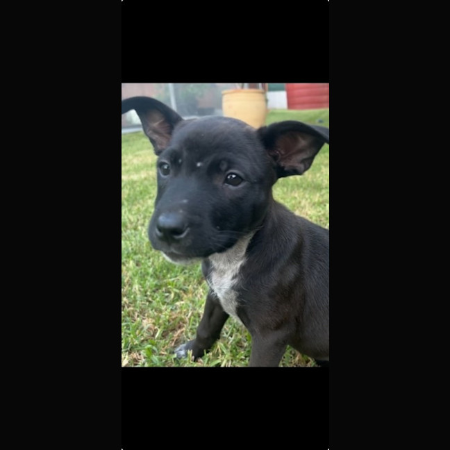 Photo of Jorja