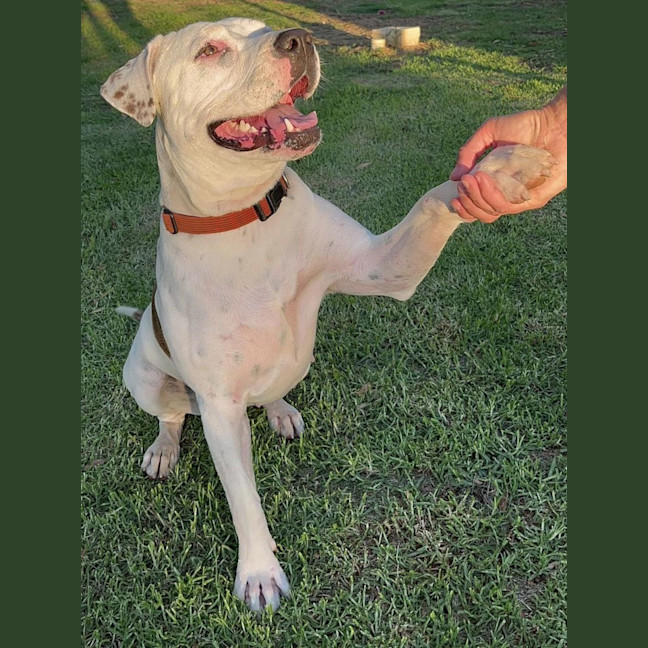 Photo of Holly