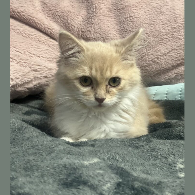 Photo of Rosemarie
