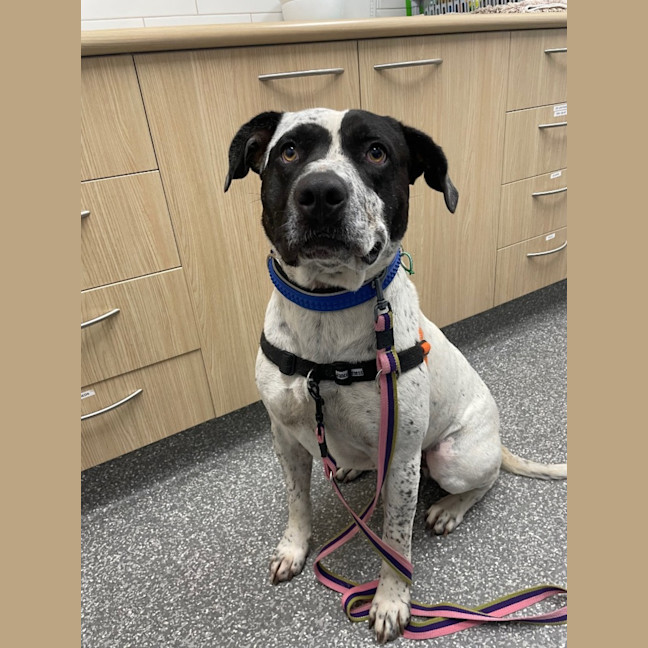 Photo of Jackie Chan