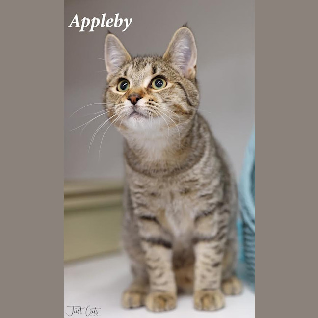 Photo of Appleby   Burnie