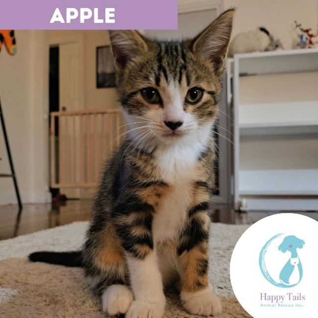 Photo of Apple