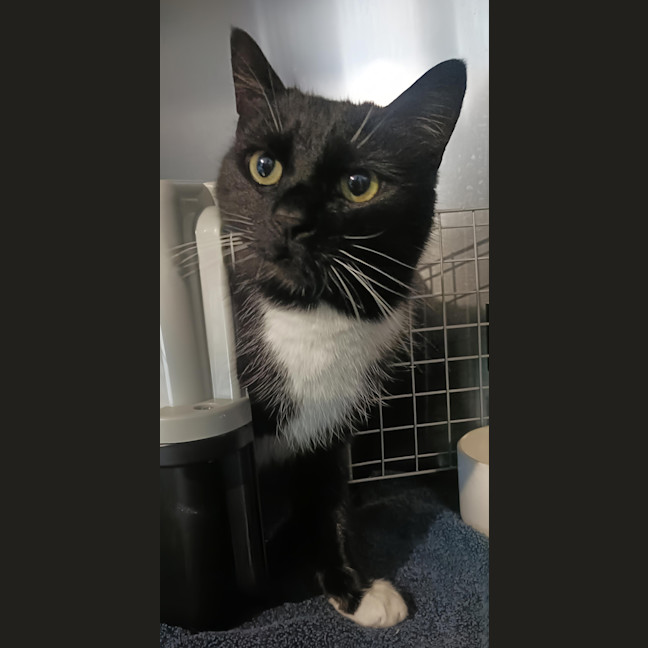 Photo of Delilah