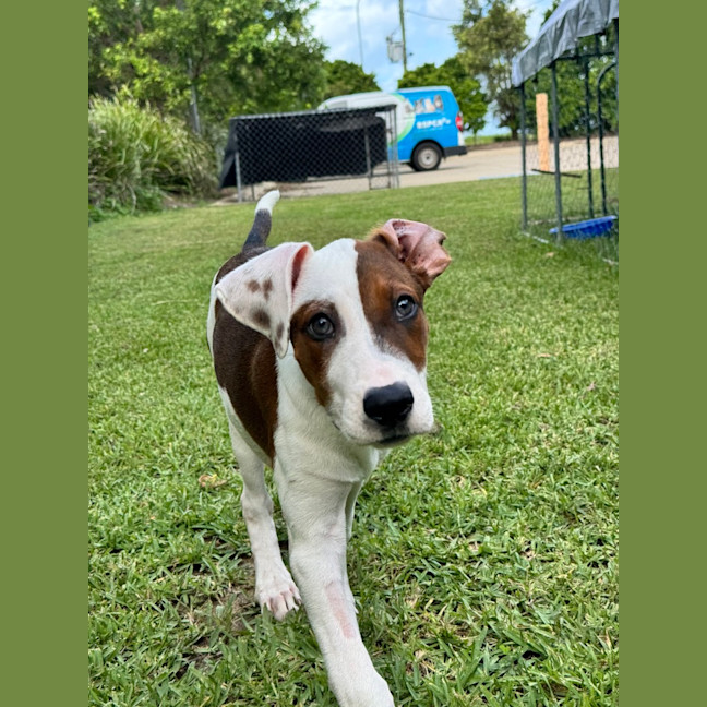 Photo of Mystique