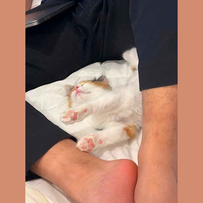 Photo of Sage & Fennel