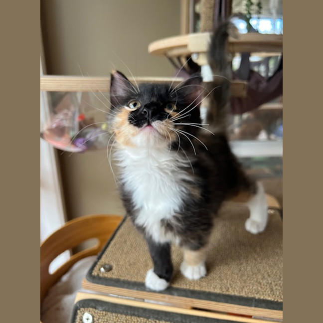 Photo of Bruce & Marigold