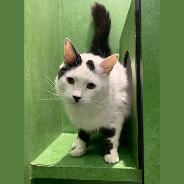 Photo of Haberdashery