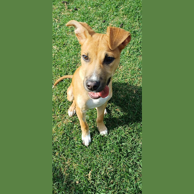 Photo of Charlie