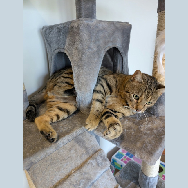 Photo of Leo