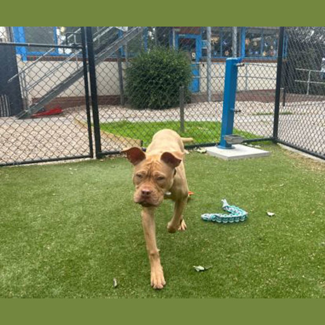 Photo of Bruce Bogtrotter