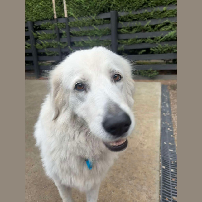 Photo of Nellie